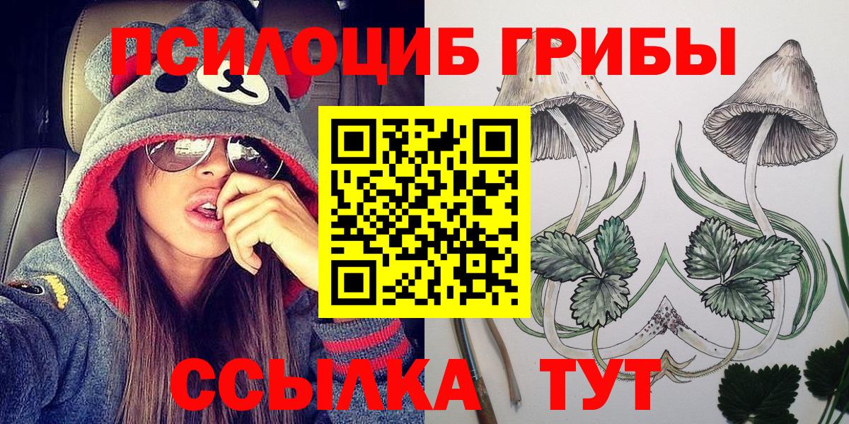 Курчалой  Галлюциногенные грибы ЛСД  Вход с VPN  Псилоцибиновые грибы прущие грибы 